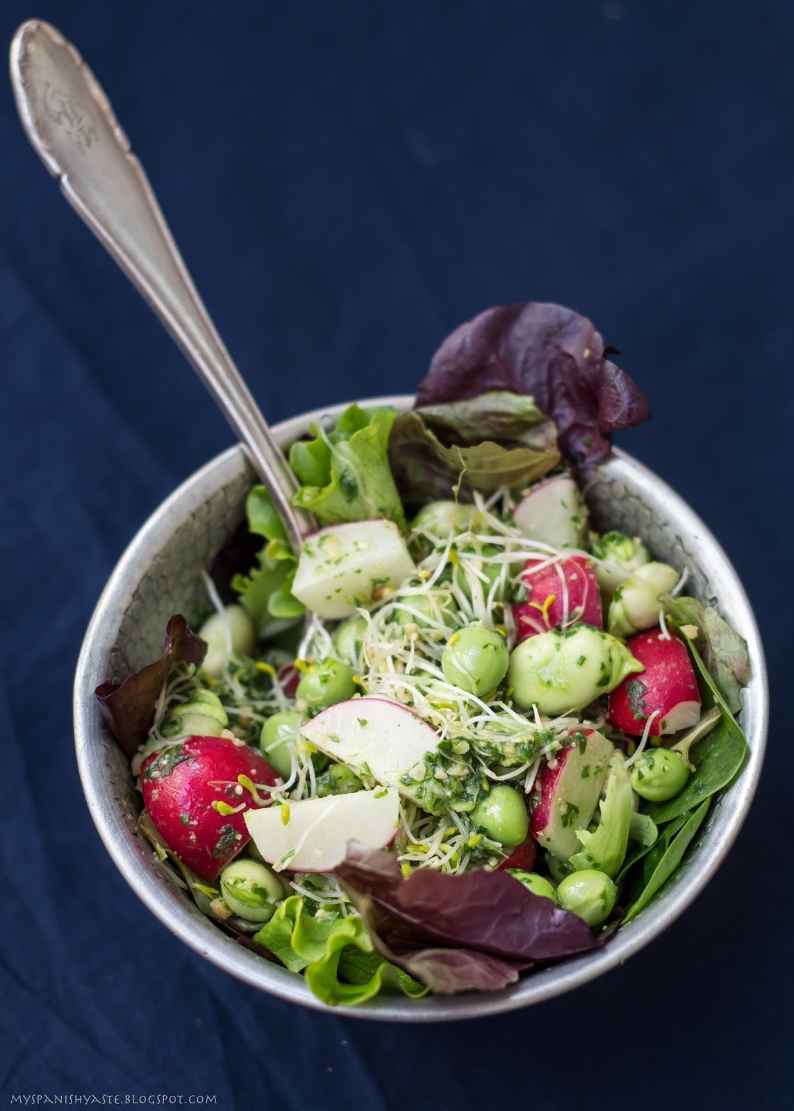 My Spanish Taste Broad beans and peas salad with arugula pesto
