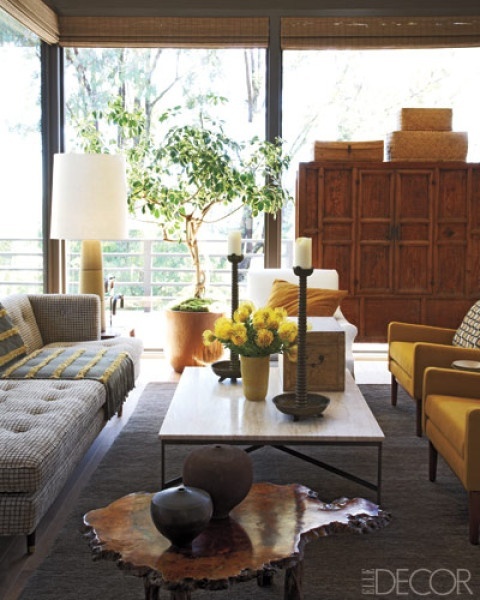 Ficus tree, silk, home decorating