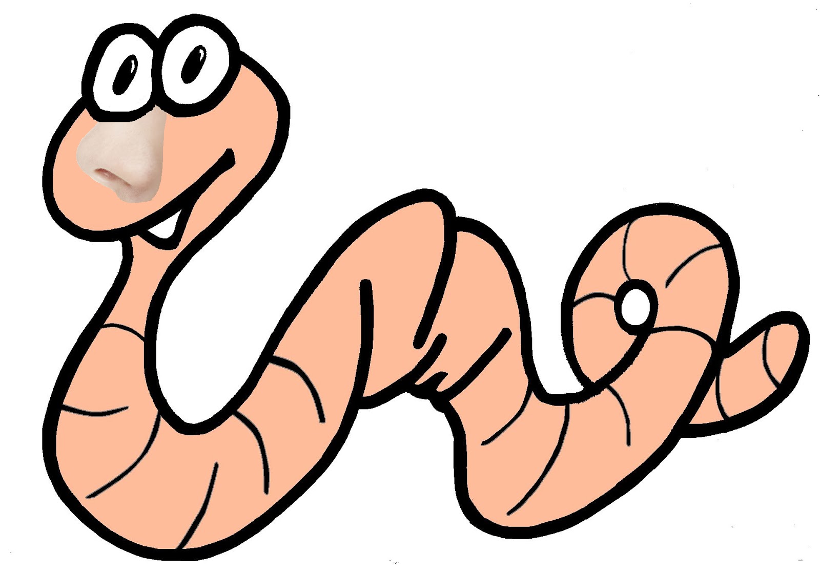 How To Keep Your Worm Alive Do Worms Have A Nose?