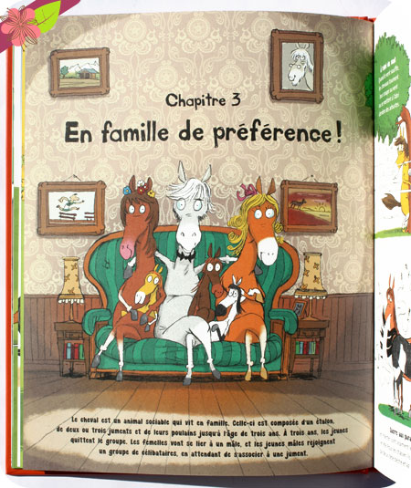 Tout sur le cheval... et le reste de Antoinette Delylle et Grégoire Mabire - éditions Le Pommier