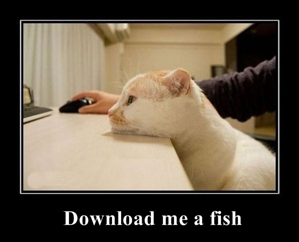 Download Me A Fish (Cat)