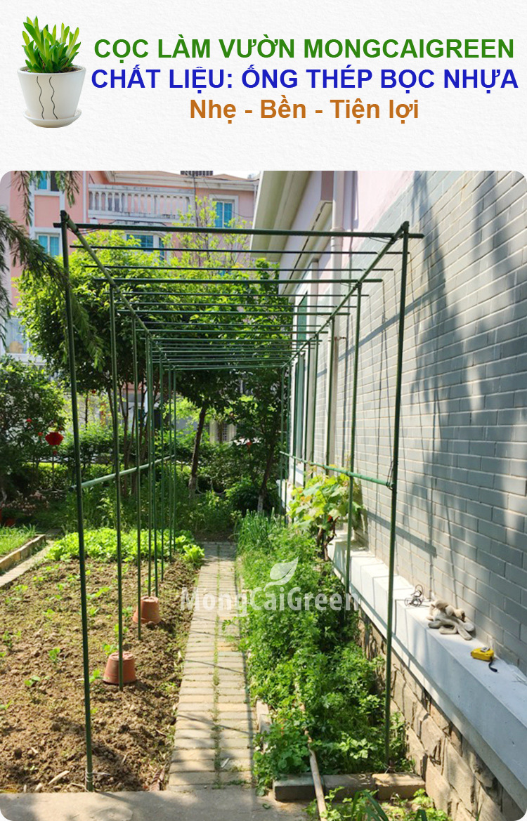 Cọc làm vườn làm bằng ống thép bọc nhựa cao cấp MongCaiGreen