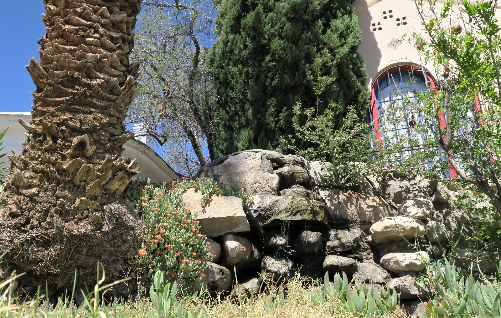 Living Rootless El Paso Spring in Sunset Heights