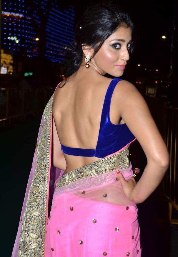 South Indian Actress Shriya Saran Hot Images In Saree Spicy Ammayi