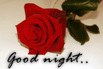 good night good night
