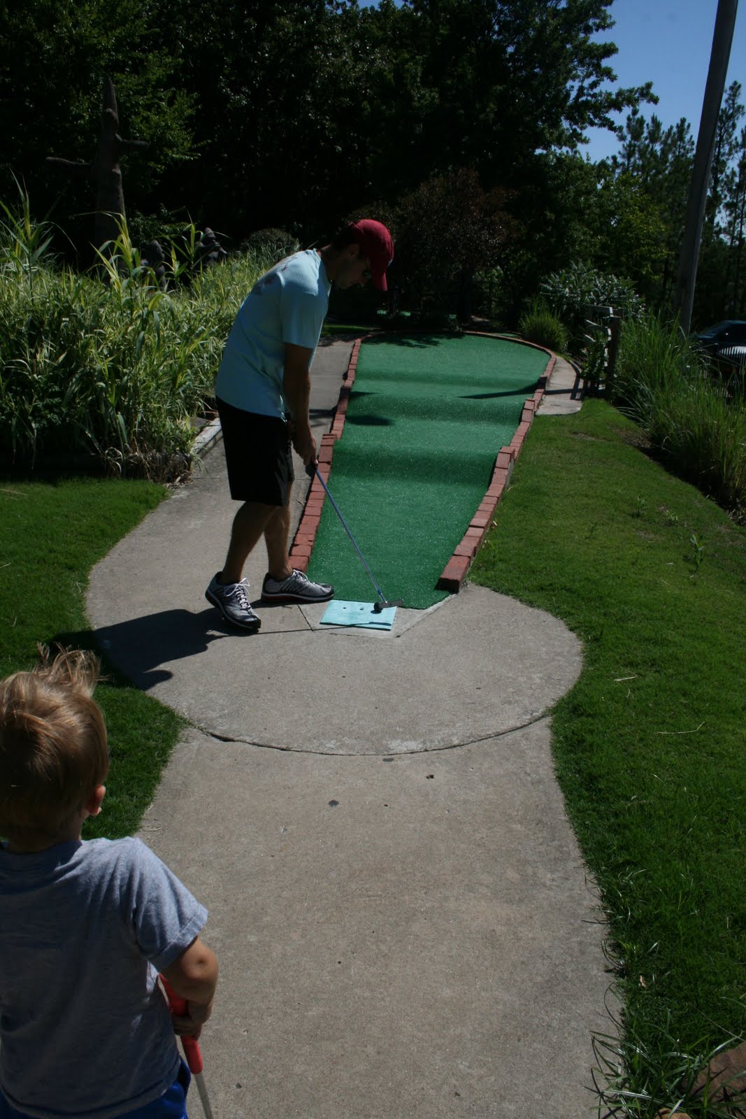 The Summerfords Gator Golf