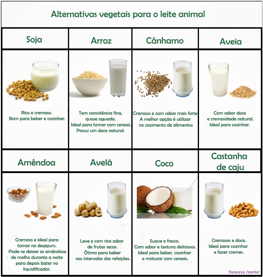 Natureza Interior Alternativas vegetais para o