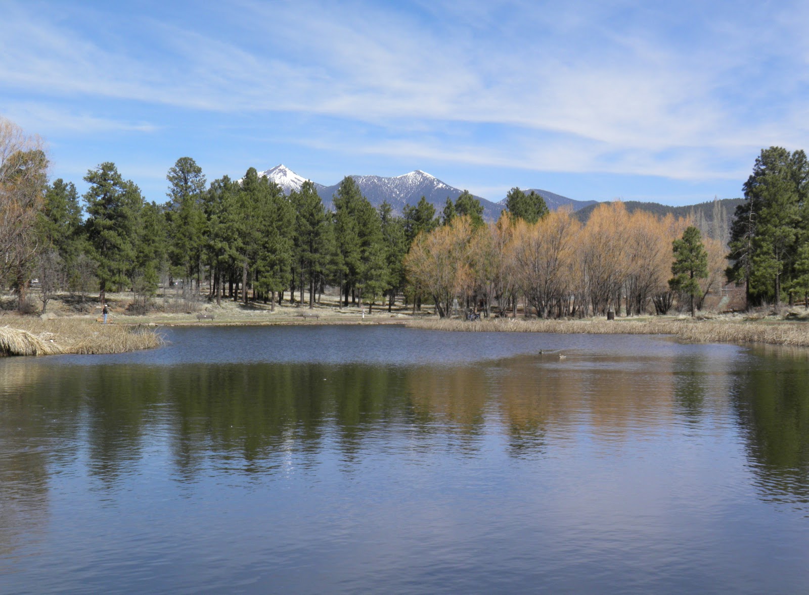 walking flagstaff: Easter (Click on photo to enlarge)