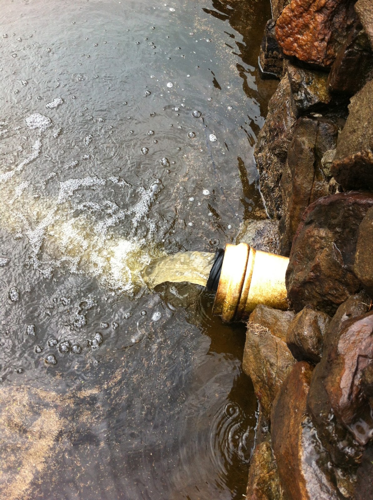 Avila Turf Maintenance Irrigation running during the storm