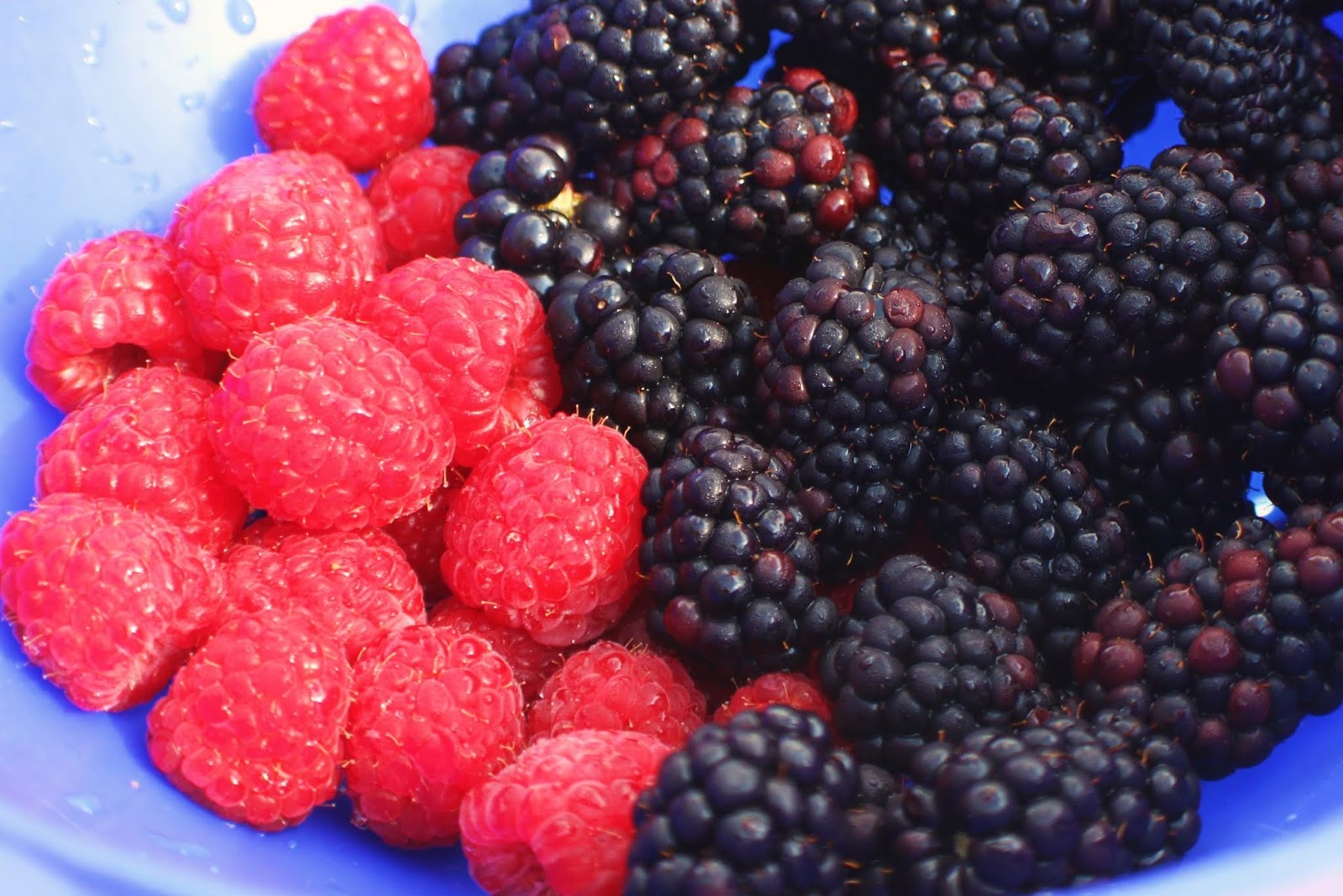  fresh fruits and berries these are raspberries and blackberries fresh for topping cupcakes