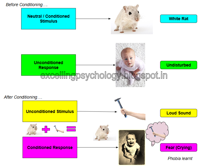 A Level Psychology of Abnormality Explanation of Phobias