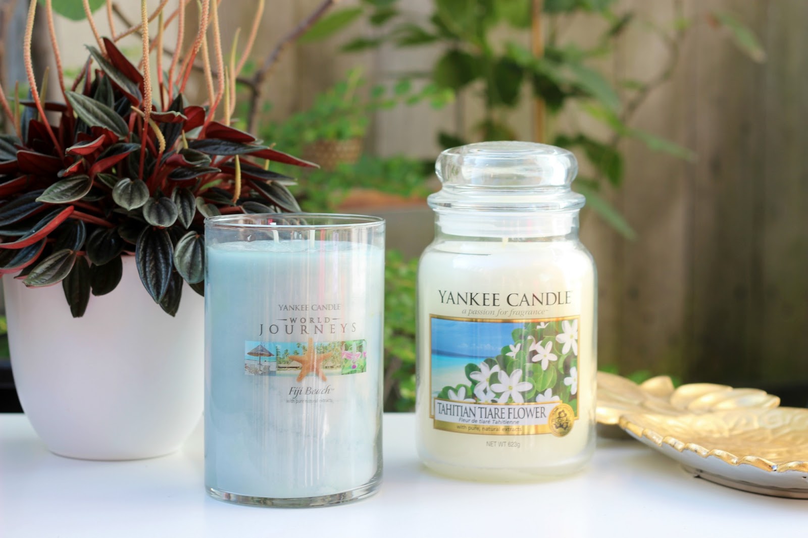 Home My Yankee Candle Summer Collection
