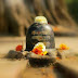 महाशिवरात्रि 2020 :इस महाशिवरात्रि बन है गजब का अद्भुत संयोग,मिलेगा मनचाहा वरदान,बस करना होगा ये काम !!