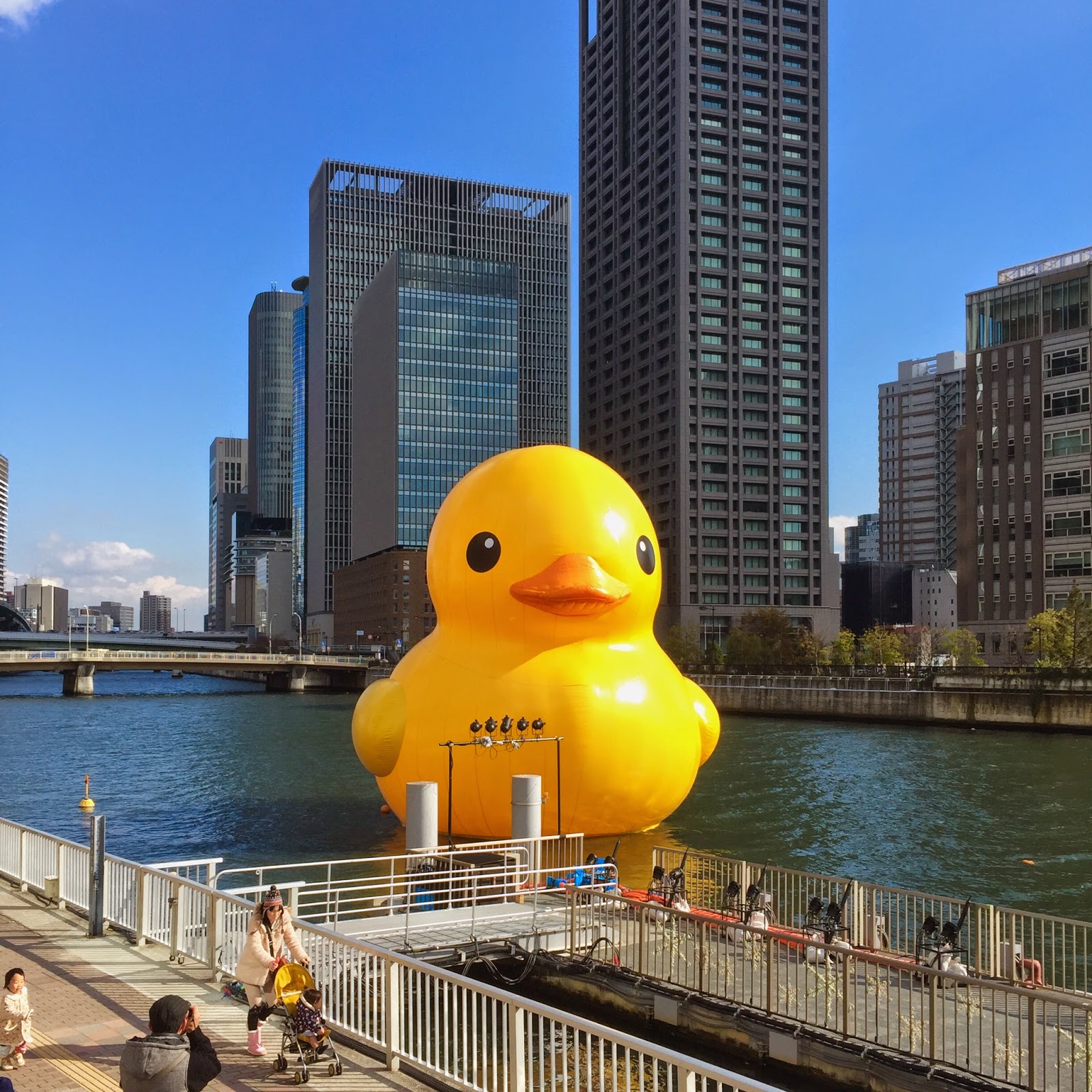 Rubber Duck (ラバーダックプロジェクト2014) ｜ Travel ｜ 201412 KoM note blog