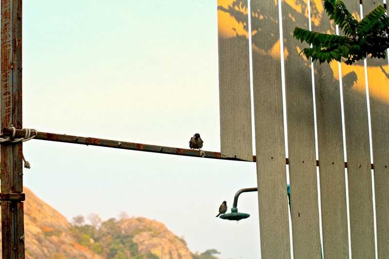 BLOG MODE HOMME PREPPY CONSEIL STYLE PARIS ELEGANCE TENDANCE BLOG MODE HOMME PREPPY CONSEIL STYLE PARIS ELEGANCE TENDANCE