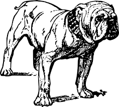 Kumpulan Gambar Vektor Animasi Anjing Bulldog Gambar Dan Foto