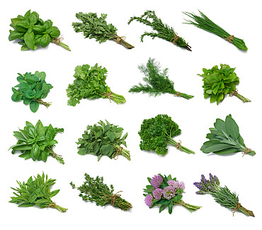 Raccolta Di Semi Di Erbe Aromatiche 15 Pacchetti Individuali
