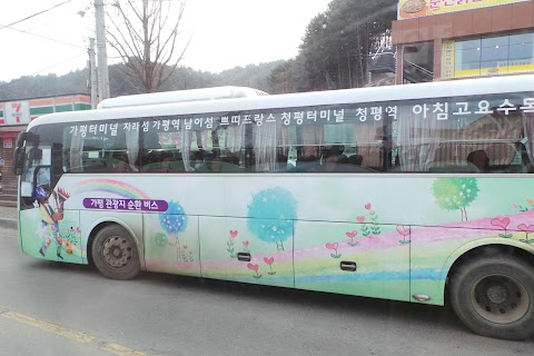 Wisata Seoul (Day 4) : Gapyeong Tour Bus, Nami Island, Petite France, Hongdae, Hello Kitty Café dan Sinchon