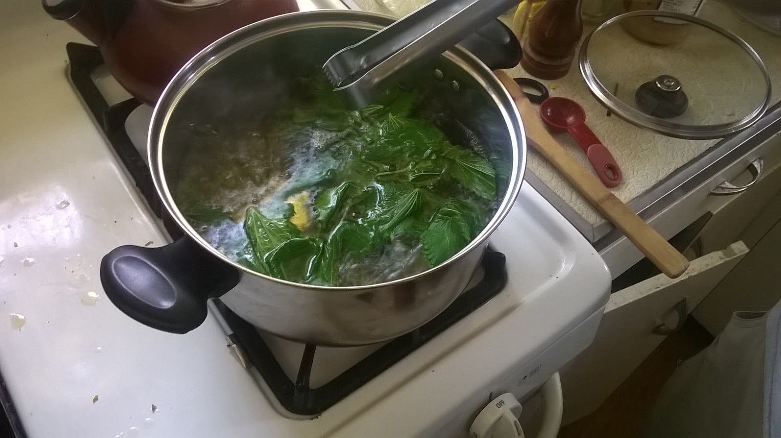 The Traveling Mandolin Foraging Stinging Nettle and Garlic Mustard