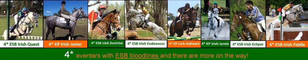 Competing ESB Horses