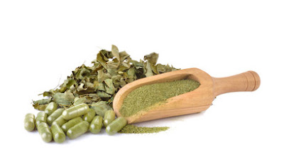 Moringa plant - Health Benefits, Medical Uses and Side Effects