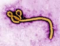 http://www.jltarazona.com/p/ebola-conspiracion_14.html