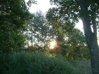 CIMG2570 - Födelsedagspromenad