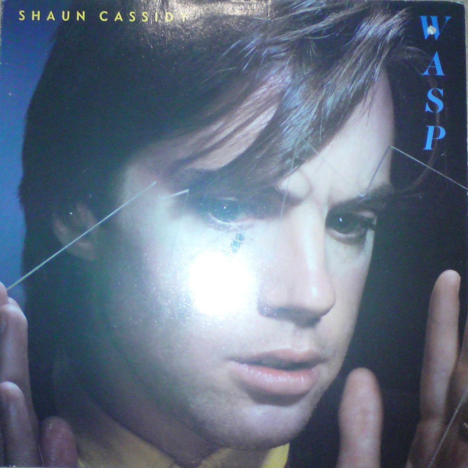 '70s Teenpop Shaun Cassidyon Record.