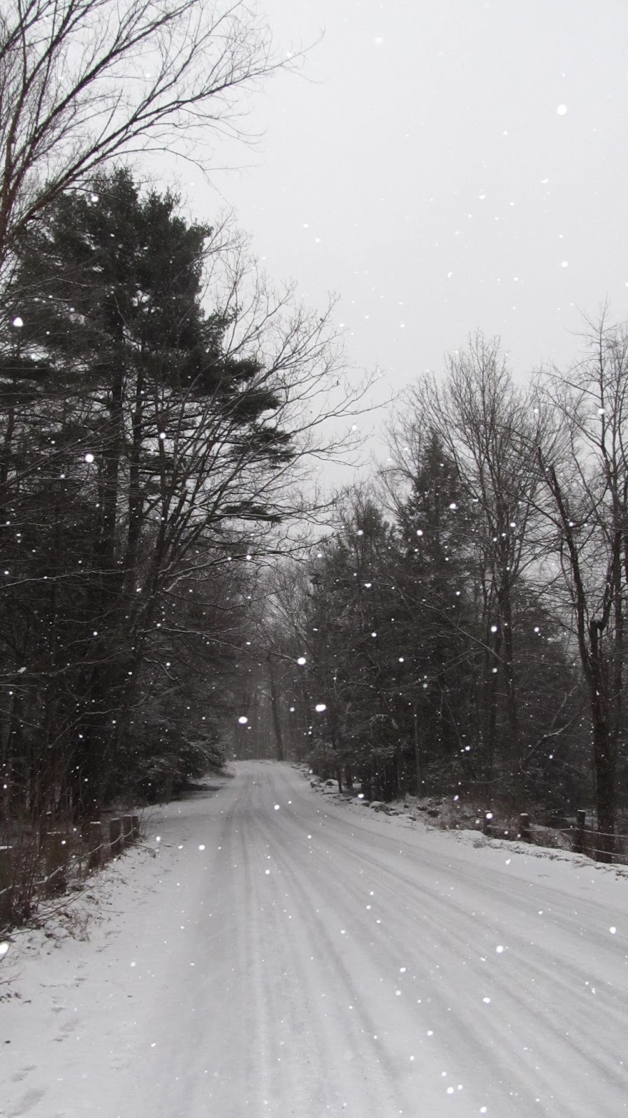 Head in the Clouds Amherst Snowstorm Nemo Through the Lens (video and