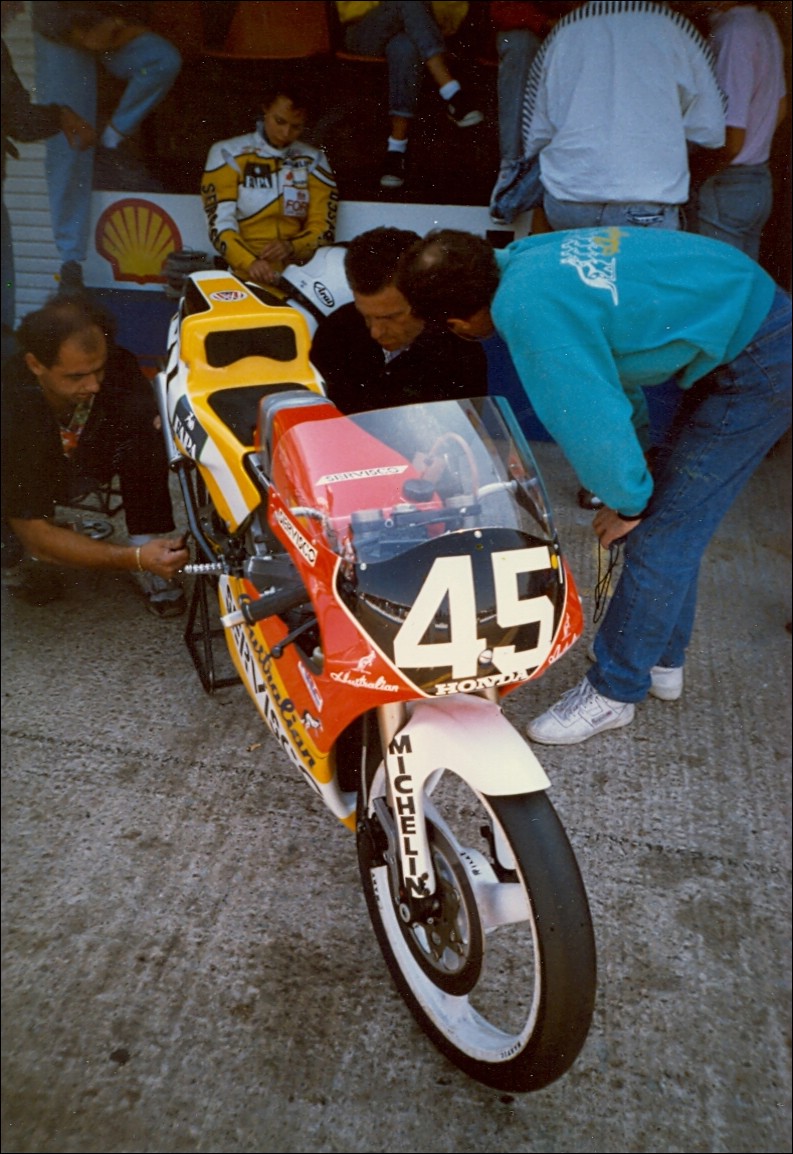 las amapolas Taru Rinne la Primera Dama
