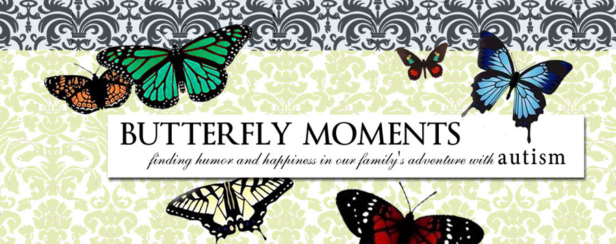 Butterfly Moments