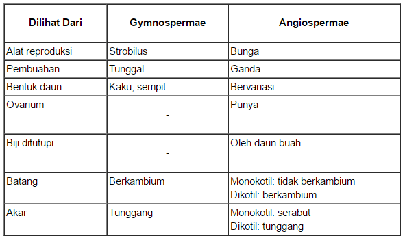 Alat reproduksi pada tumbuhan berbiji terbuka disebut