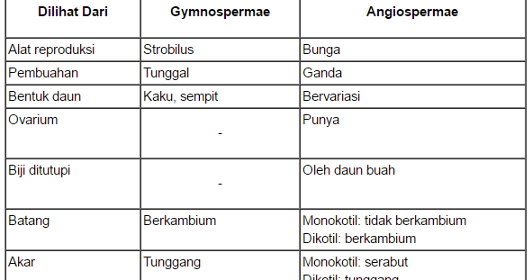 Kunci Jawaban Jelaskan Perbedaan Tumbuhan Berbiji Terbuka Dan Tumbuhan Berbiji Tertutup Rofa Education Centre