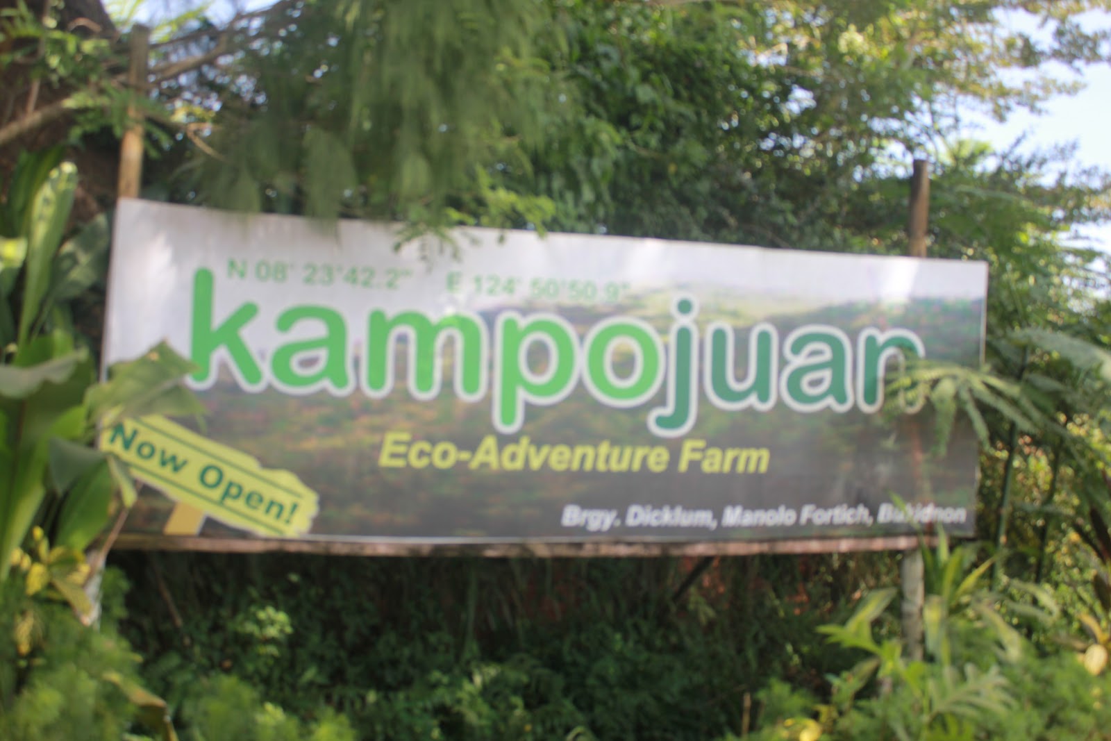 Meet the Xplorers Bukidnon Manolo Fortich A Must to Do, See and Visit