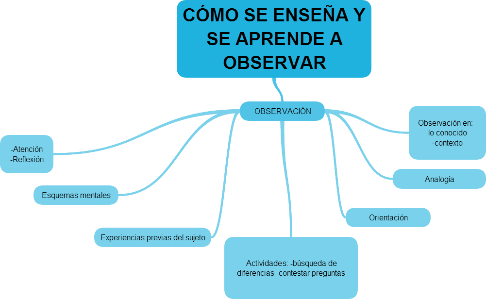 LA FAMILIA DE LOS PAISAJES : LA OBSERVACIÓN EN EL APRENDIZAJE DE LA ...