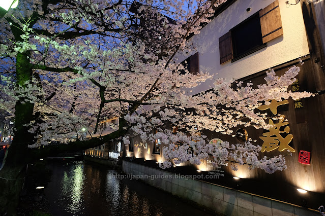 คลอง Takase-gawa Kyoto sakura light up