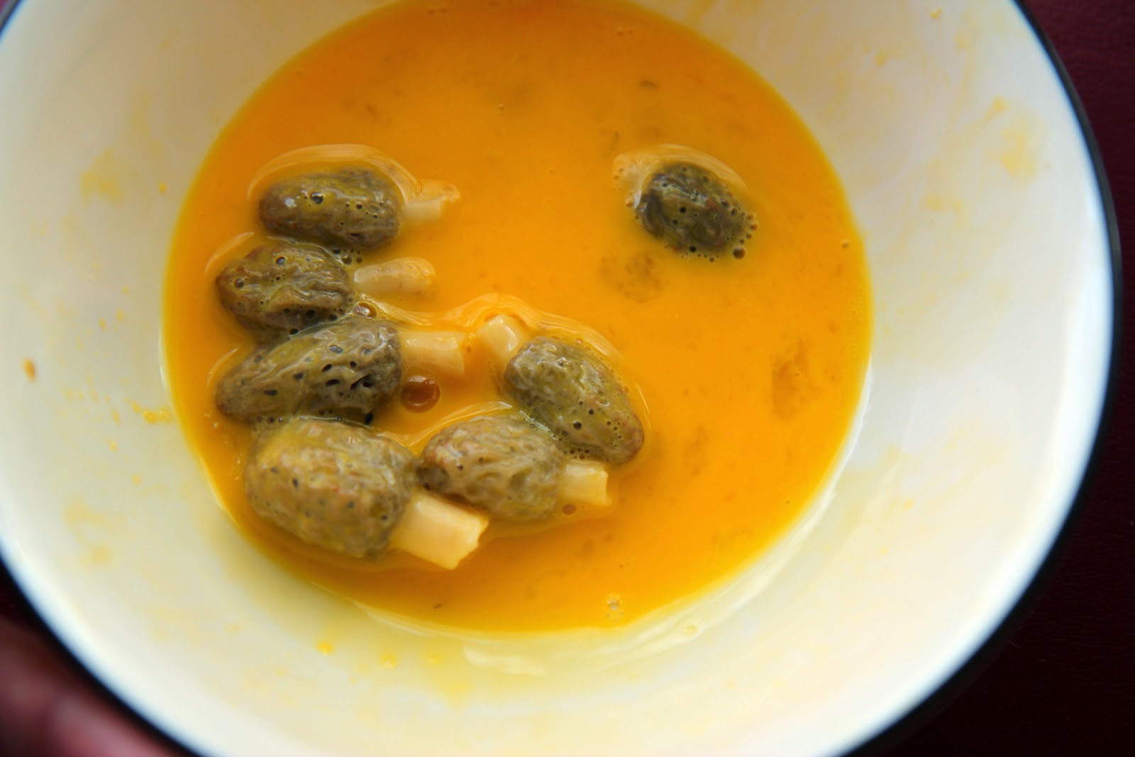 How to Pick, Clean, and Cook (Fry) Morel Mushrooms Lille Punkin'