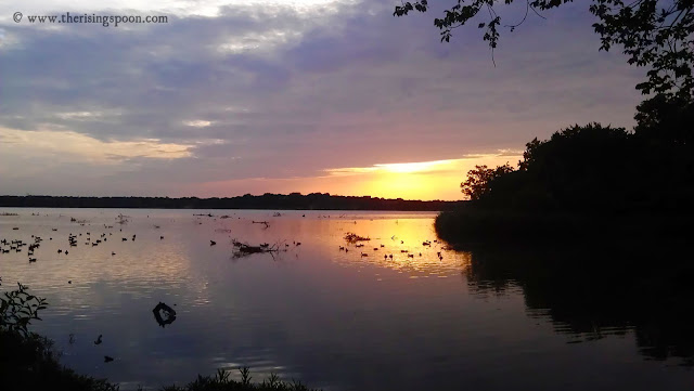 Sunset by White Rock Lake | The Rising Spoon