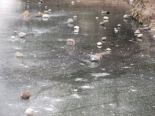 Il Piave ghiacciato