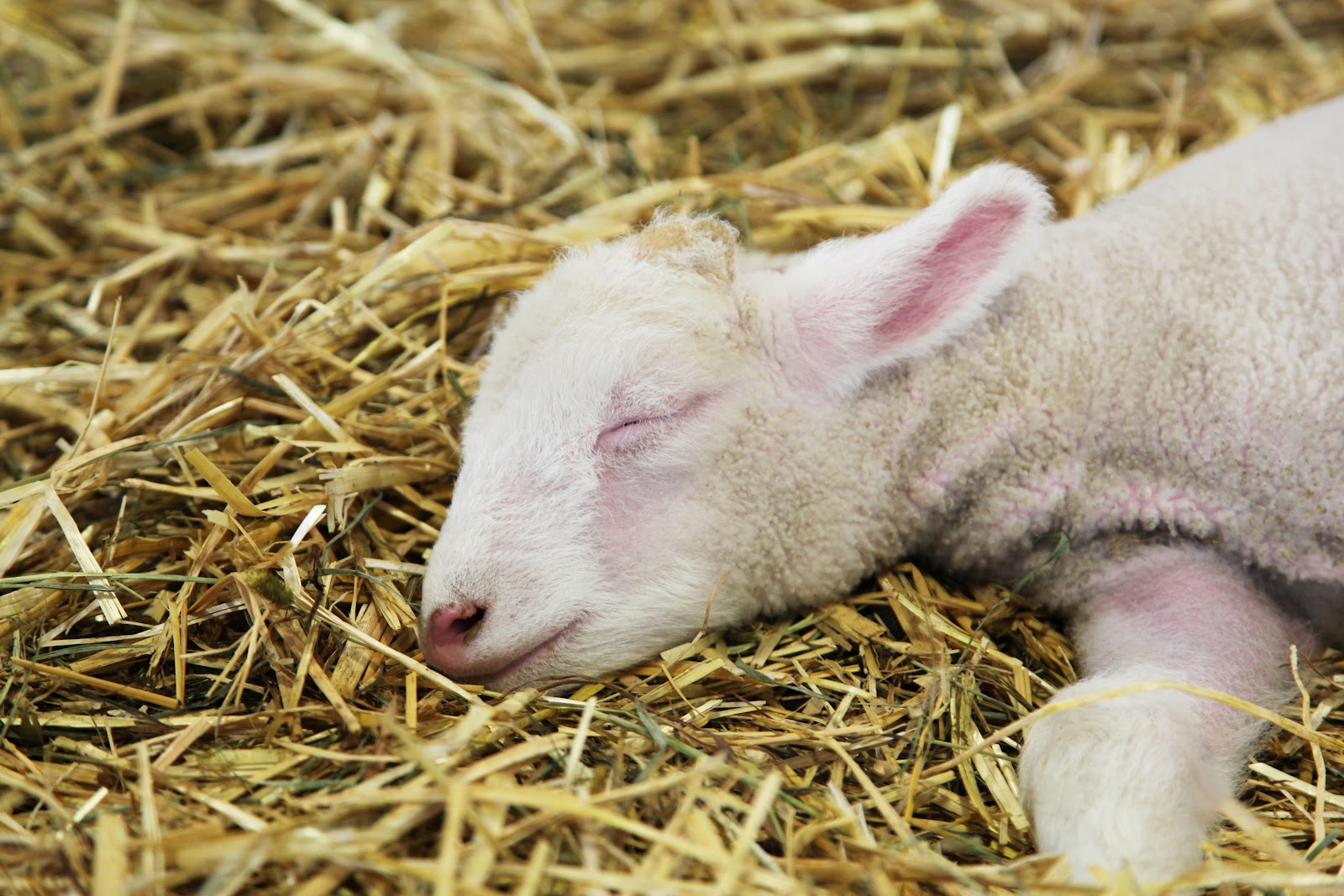 A Sampling of Mark's Photography