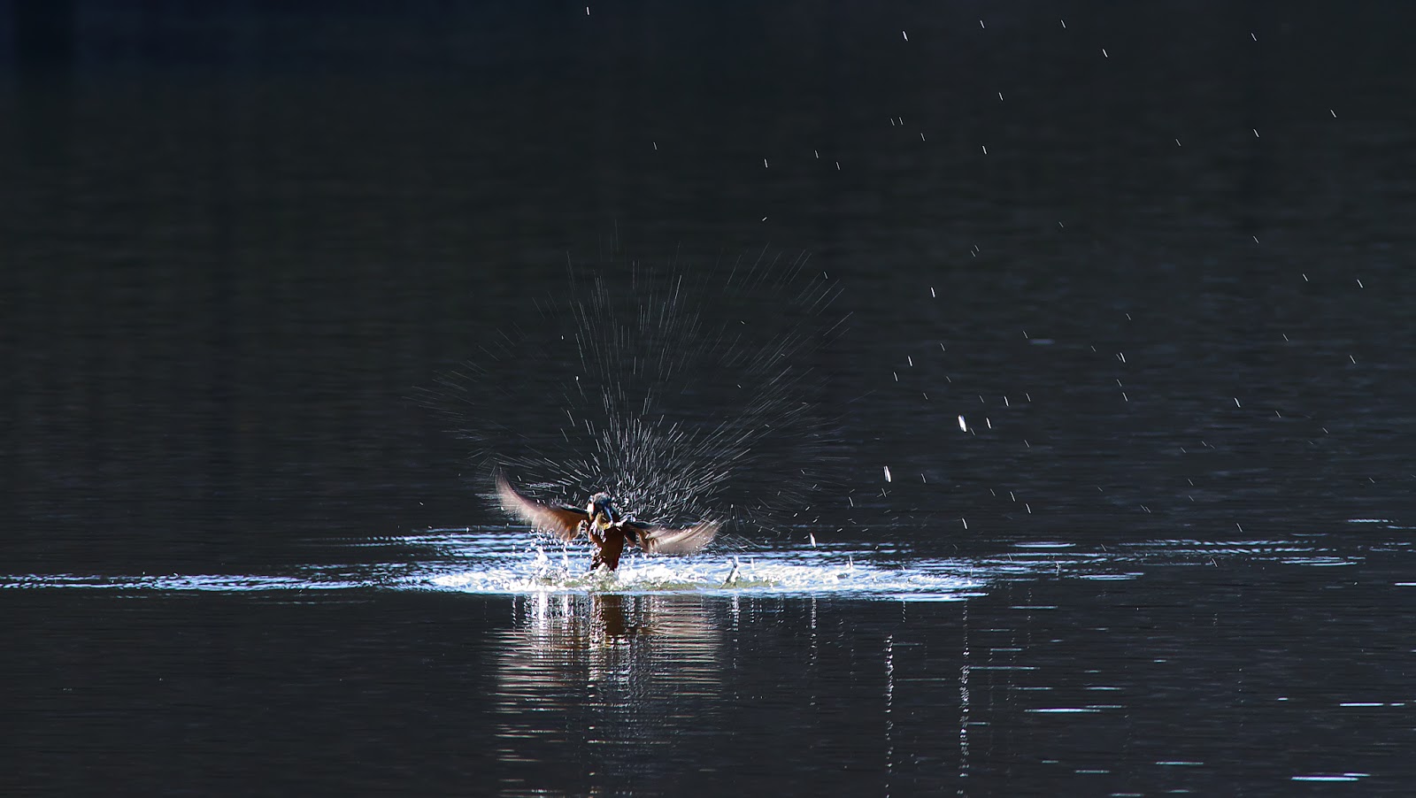 9: 器用さを発揮する