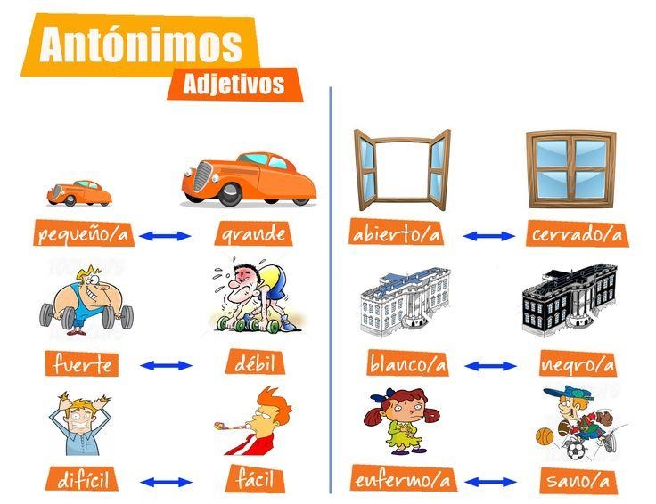 Tuvo sinonimo