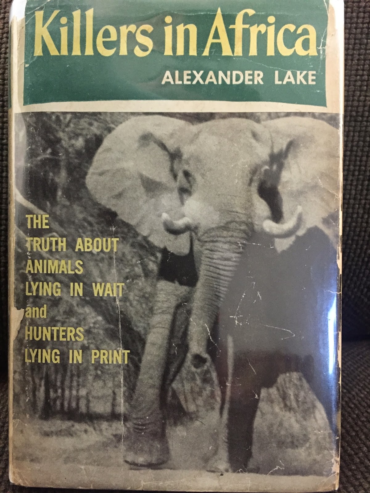 Wild Killers: Discover The Animals That Prey On Cows - esngxvs