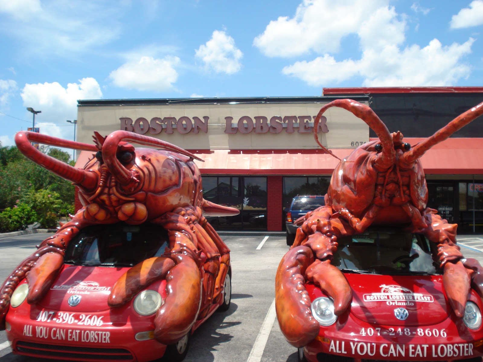 Go Gin Chow Boston Lobster Feast, Kissimmee