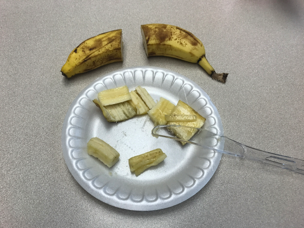 Creepy Dreadful Wonderful Parasites Answer to Case 468