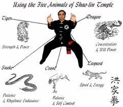 Corey recommends best of Kung-fu style fist XXX Pictures Xvideos com fisting