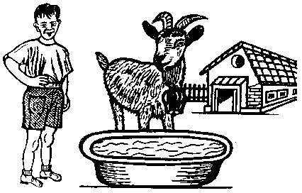 Коза
