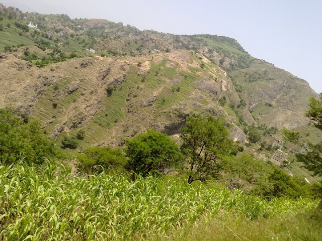 صورمن وصاب العالي