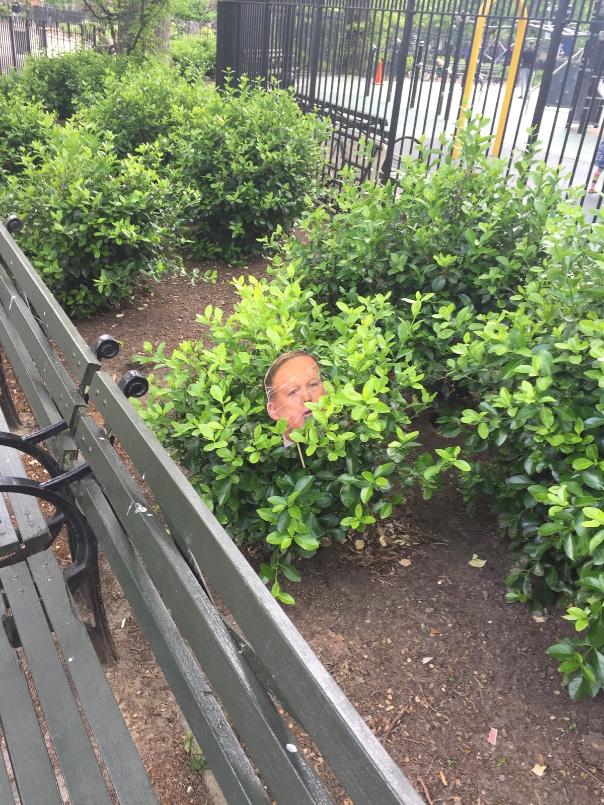 A Guide To Northeastern Gardening Spring Flowering Trees Pretty