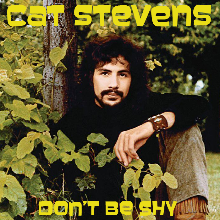 Albums That Should Exist Cat Stevens Don't Be Shy Various Songs